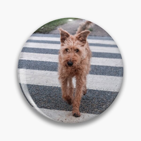 Item preview, Almost Abbey Road feat Póg designed and sold by Trish  Anderson.