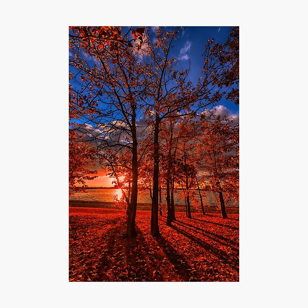 Autumn Perfection Photographic Print