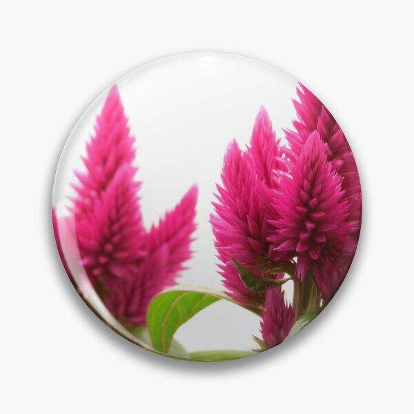 Item preview, Celosia argentea designed and sold by troianifabrizio.