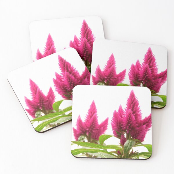 Item preview, Celosia argentea designed and sold by troianifabrizio.