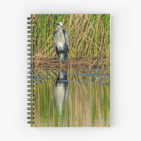 Item preview, Heron reflections designed and sold by Dalyndigital Photography.