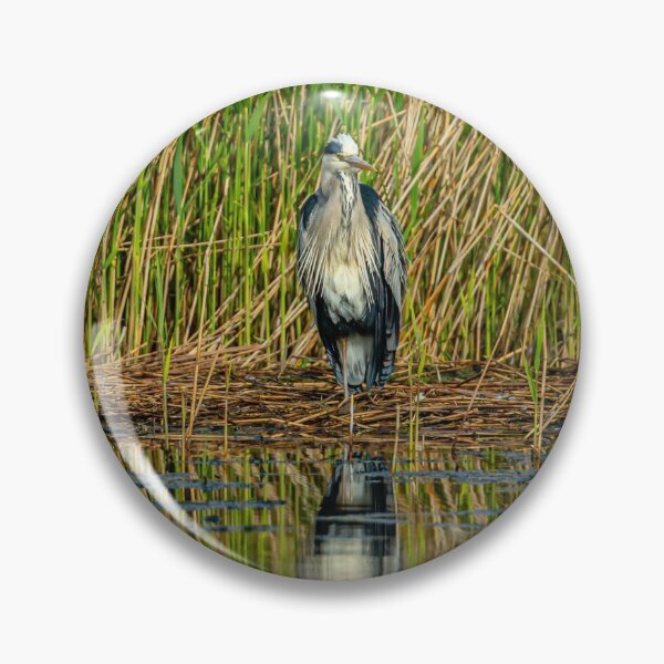 Item preview, Heron reflections designed and sold by Dalyndigital Photography.