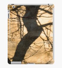 Shadow iPad Case/Skin