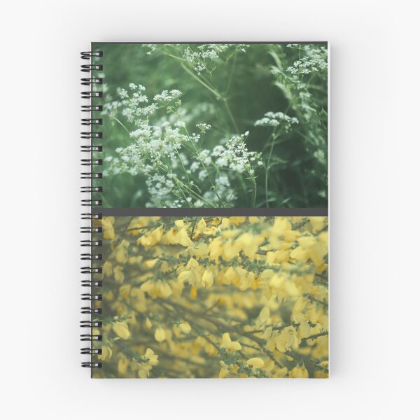 Item preview, Progression designed and sold by ShinyPhoto.