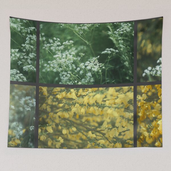Item preview, Progression designed and sold by ShinyPhoto.