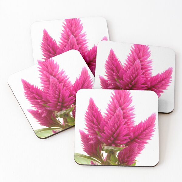Item preview, Celosia argentea designed and sold by troianifabrizio.