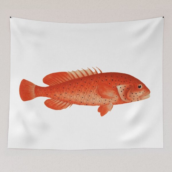Item preview, tropical red vintage fish illustration  designed and sold by TrippyEarth.