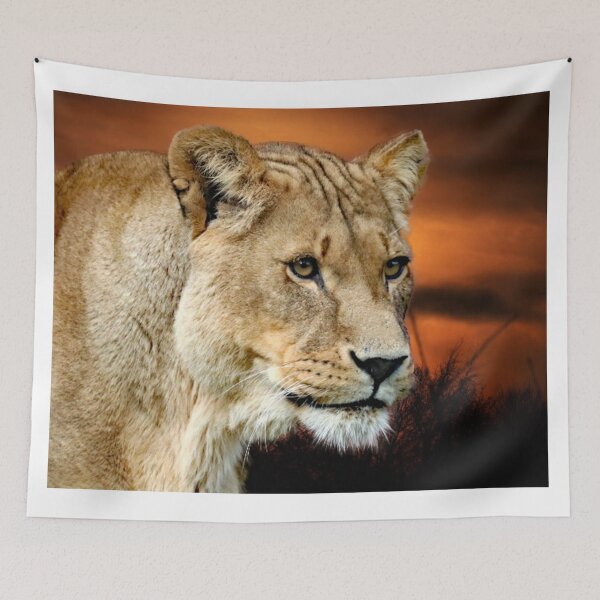 Item preview, A Beautiful Lioness designed and sold by Karen Thomson.