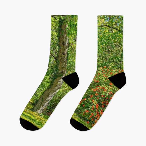 Item preview, Colour in the woodland designed and sold by Dalyndigital Photography.