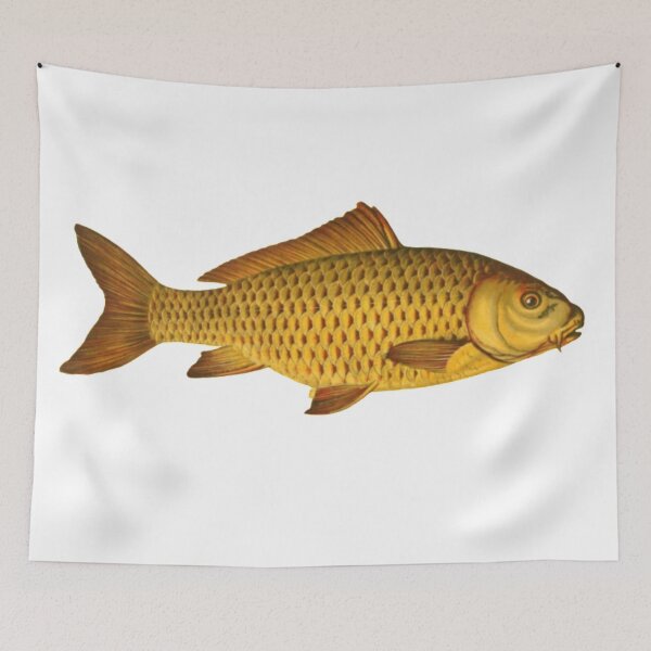 Item preview,  Vintage carp illustration design  designed and sold by TrippyEarth.