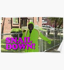 SNAIL DOWN Poster