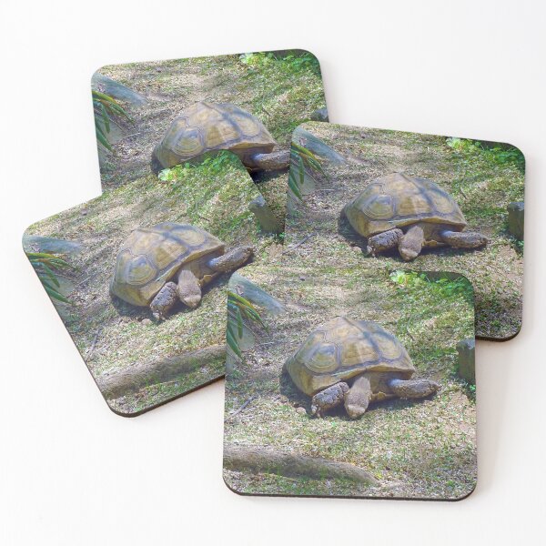 Item preview, Eastern Box Common Tortoise designed and sold by whitedove457.