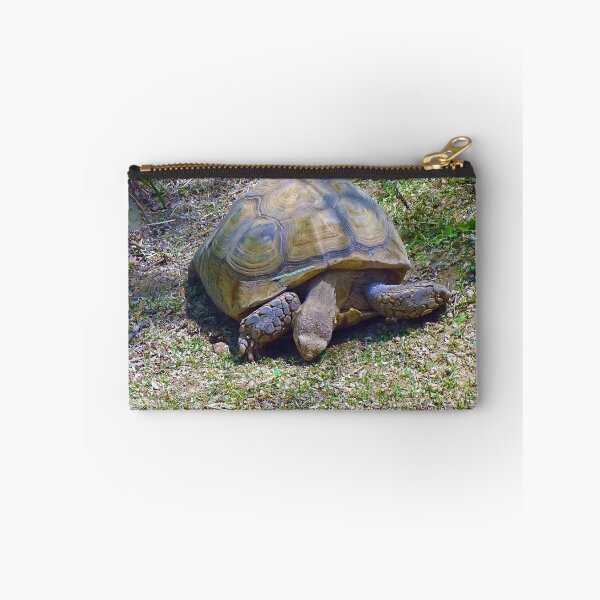 Item preview, Eastern Box Common Tortoise designed and sold by whitedove457.