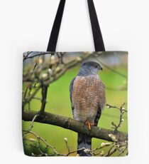 Coopers Hawk Tote Bag