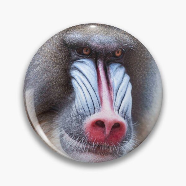 Item preview, colorful mandrill designed and sold by Ingo Gerlach.
