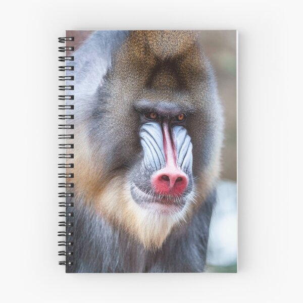 Item preview, colorful mandrill designed and sold by Ingo Gerlach.