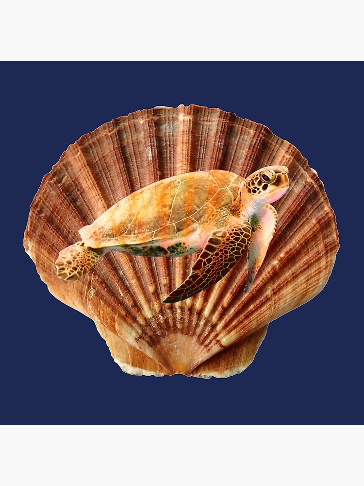 Sea Shell Bra | Art Board Print