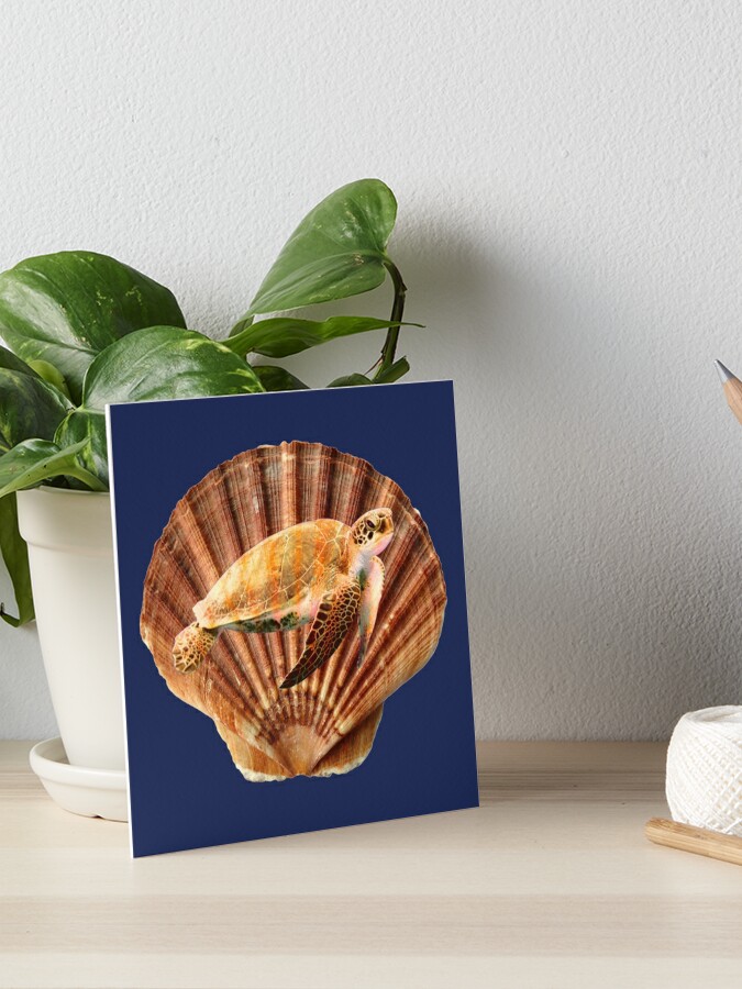 Sea Shell Bra | Art Board Print