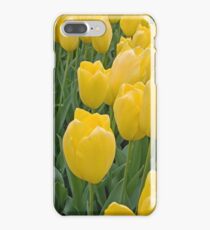 Yellow Tulips iPhone 7 Plus Case