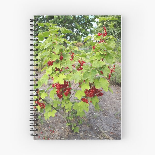 Item preview, red berry, green leaf designed and sold by Holiversus.