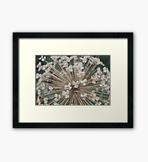 Seeds of Love - JUSTART © Framed Print