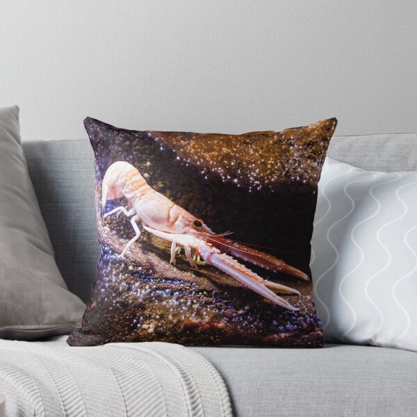 Item preview, Crustaceans designed and sold by novopics.