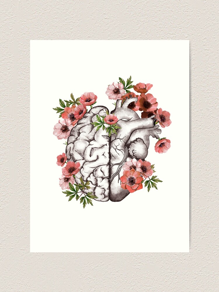 Lámina artística «Medio corazón y cerebro, equilibrio correcto entre cabeza  o cerebro y corazón, dibujo de anémonas rojas flores anemoneus» de  Collagedream | Redbubble