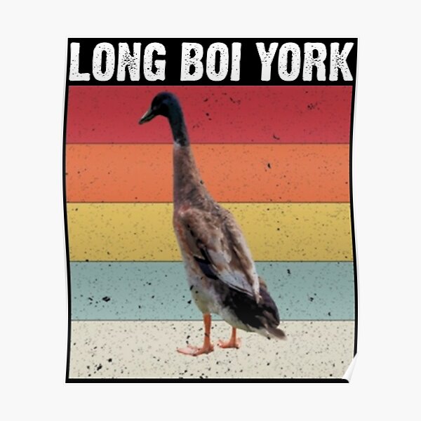 LONG BOI YORK Poster