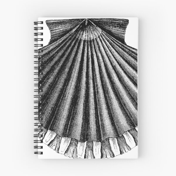 Aperçu de l'œuvre Lignes Shell classiques créée et vendue par Quill-n-Ink.