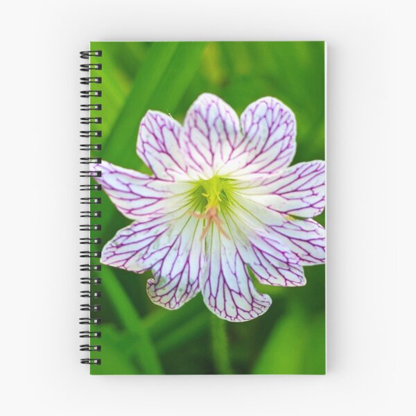 Item preview, Wild geranium - white with purple veins designed and sold by Abigail Brown.