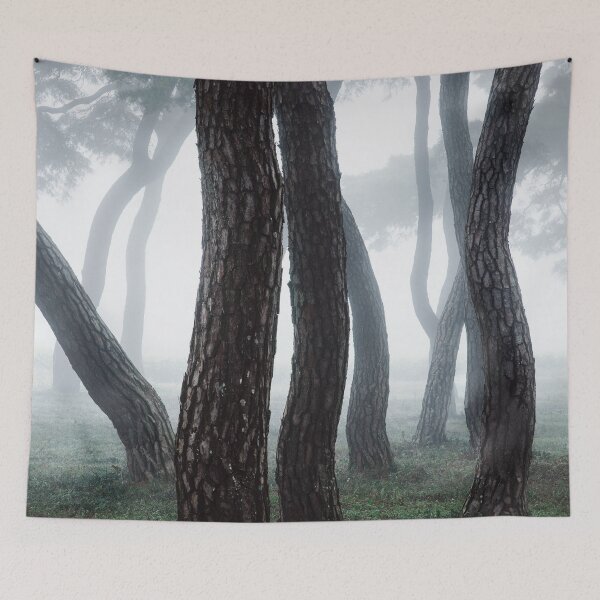 Item preview, Tapestries,Tapestry,throw blankets,comforters,duvet covers ,shower curtains, Forest art,Tree art,forests, wall art,Nature scene,Forest  designed and sold by eyesight4vision.
