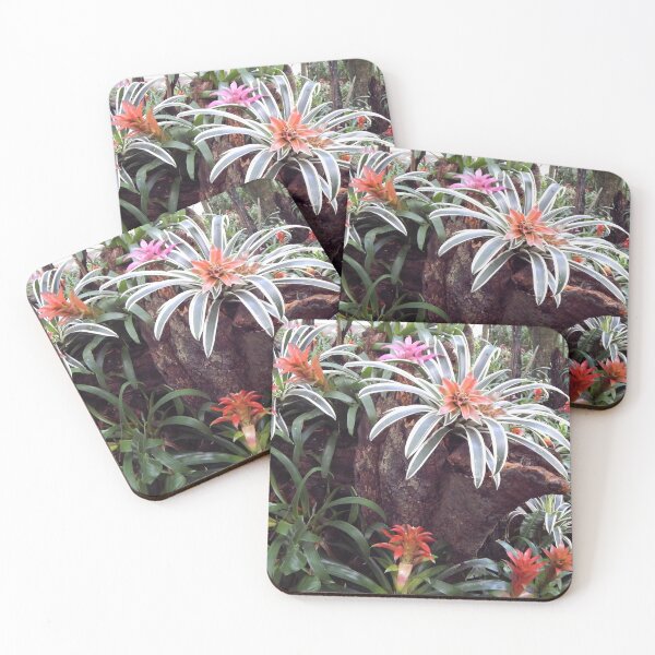 Item preview, Bromeliads in Brazil designed and sold by Juliana  Costa.
