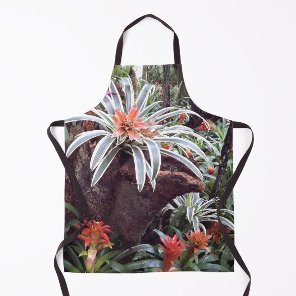 Item preview, Bromeliads in Brazil designed and sold by Juliana Costa.