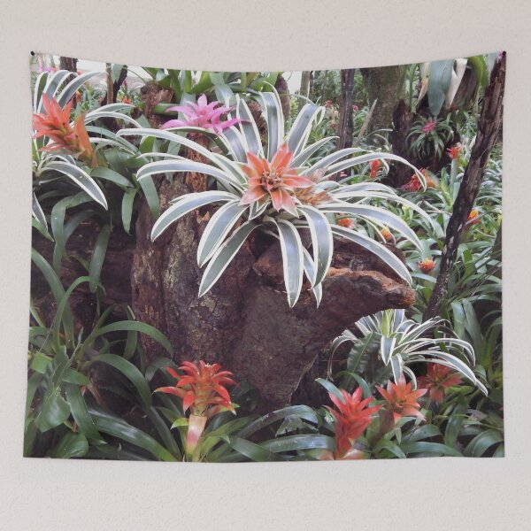 Item preview, Bromeliads in Brazil designed and sold by Juliana  Costa.