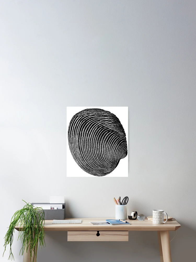 Thumbnail 2 of 3, Poster, Terraced Rice Field Shell designed and sold by Quill-n-Ink.