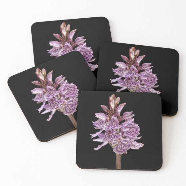Item preview, Well Spotted! - Orchid flower designed and sold by John Dewar.