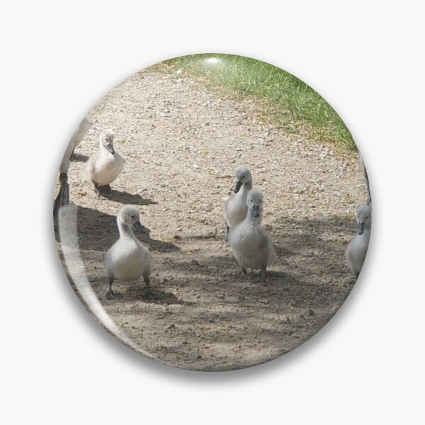 Item preview, The Swans with their cygnets designed and sold by DonnaMolyneux.