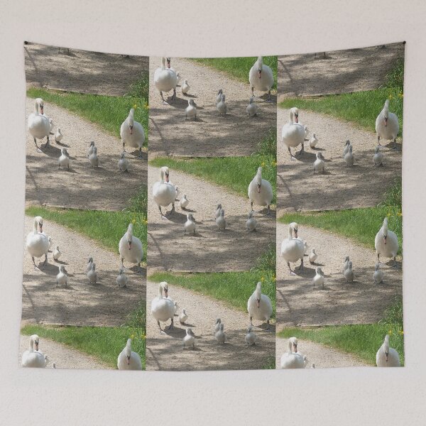 Item preview, The Swans with their cygnets designed and sold by DonnaMolyneux.