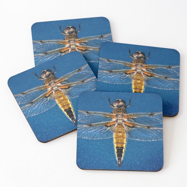 Item preview, Summer Jewel - Dragonfly designed and sold by John Dewar.
