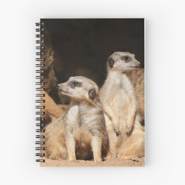 Item preview, Meerkat 003 designed and sold by JAMFoto.