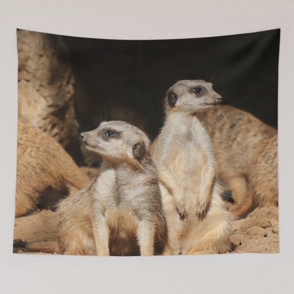 Item preview, Meerkat 003 designed and sold by JAMFoto.