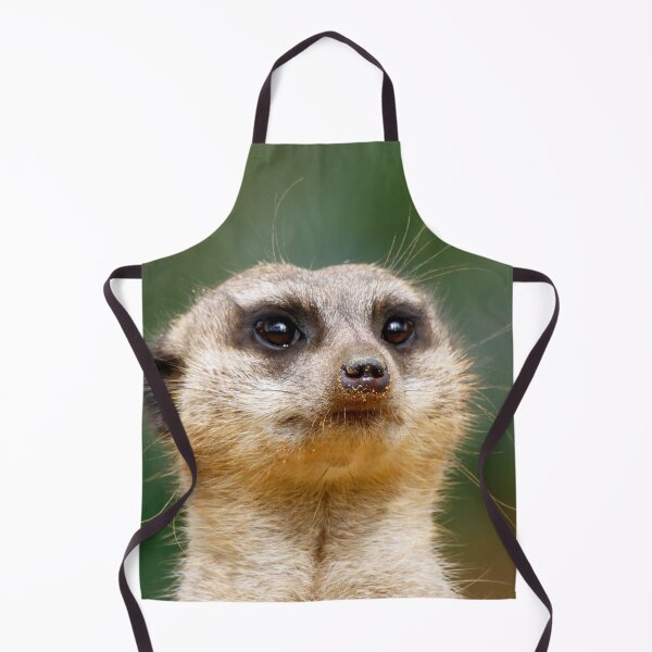 Item preview, Meerkat 005 designed and sold by JAMFoto.