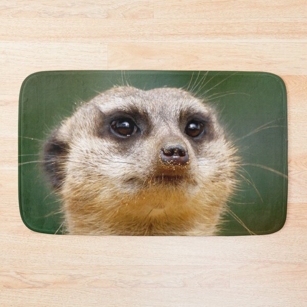 Item preview, Meerkat 005 designed and sold by JAMFoto.