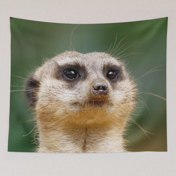 Item preview, Meerkat 005 designed and sold by JAMFoto.