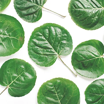 Artwork thumbnail, Green Leaves Nature Pattern Design by Youpattern