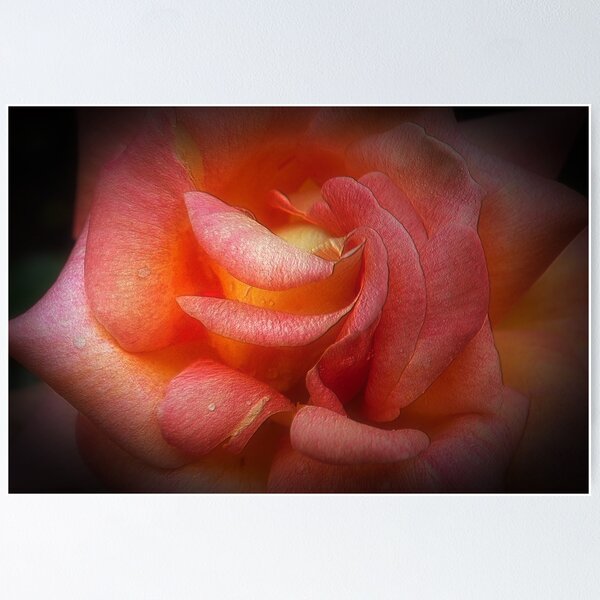Item preview, Passion designed and sold by Christine Lake.