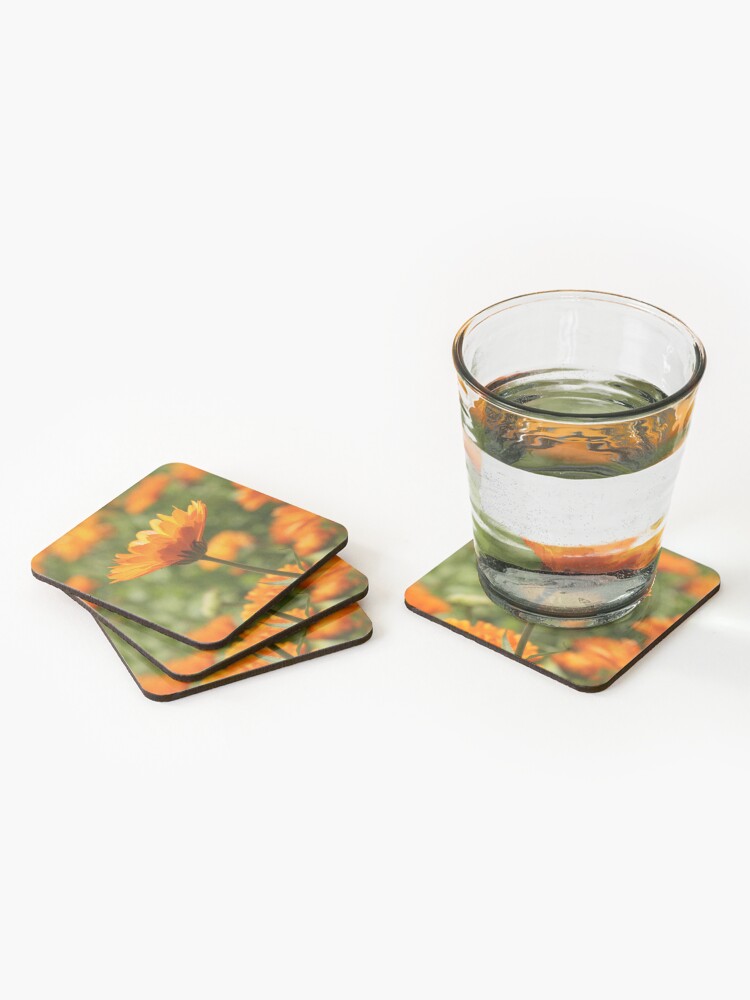 Alternate view of A photograph of a single orange flower in focus against a sea of other flowers Coasters (Set of 4)