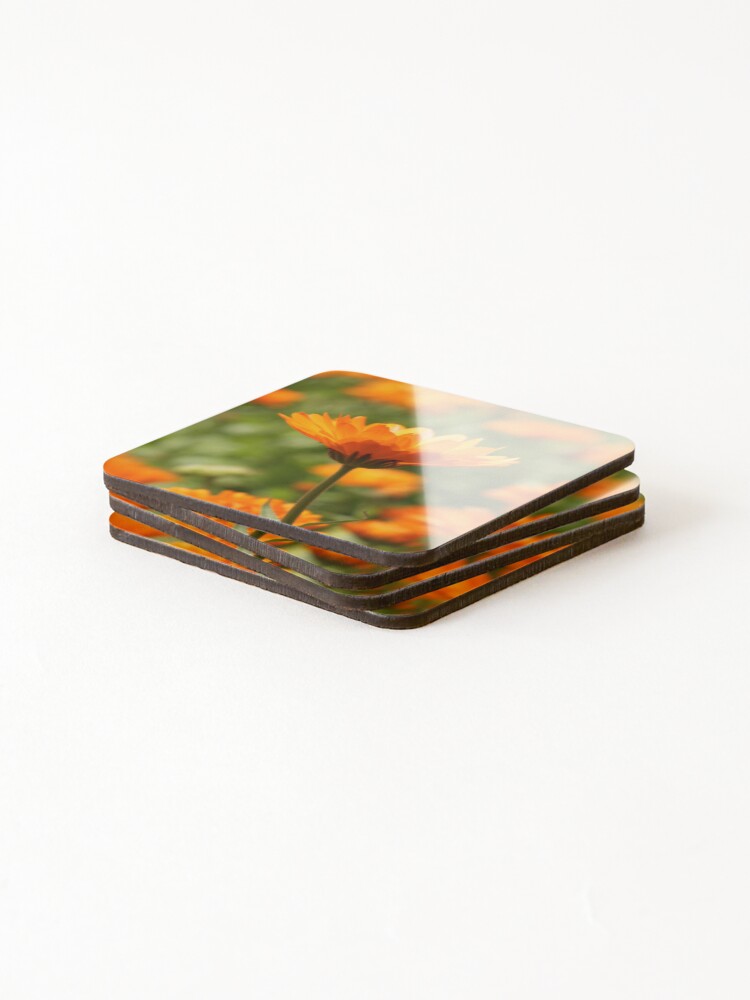 Alternate view of A photograph of a single orange flower in focus against a sea of other flowers Coasters (Set of 4)