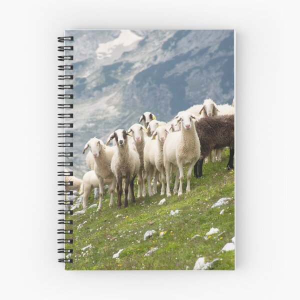 Item preview, Sheep in the mountains designed and sold by CamperDen.