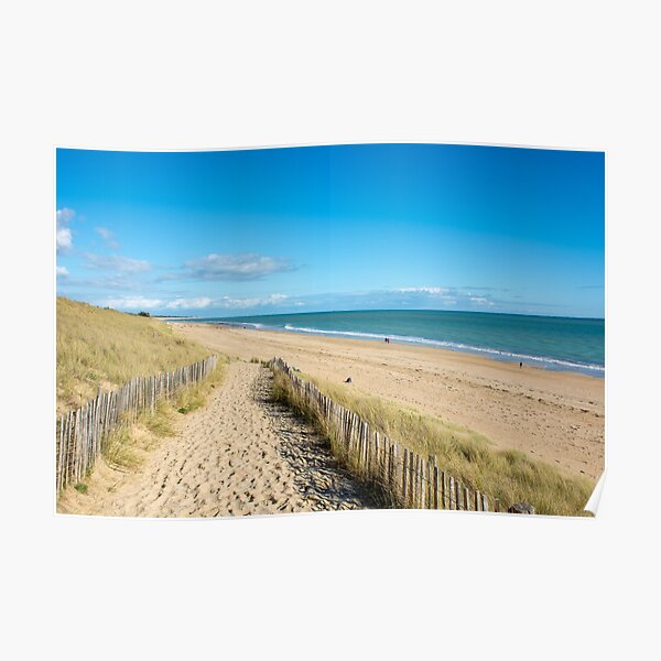 Path leading to sandy beach Poster